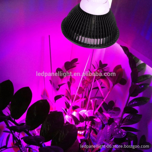 Best seller on Amazon 12W LED Growing Bulb for Indoor Garden Greenhouse and Hydroponic Aquatic,E27 3Bands